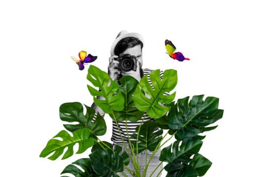 Composite photo collage of young guy paparazzi take photo camera vacation tropical palm butterfly nature isolated on painted background - Powered by Adobe