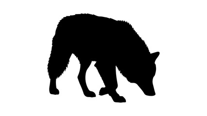 Wolf silhouette with transparent background