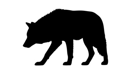 Wolf silhouette with transparent background