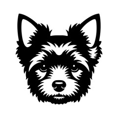 Yorkshire terrier head with transparent background