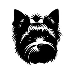 Yorkshire terrier head with transparent background