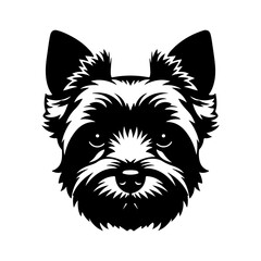 Yorkshire terrier head with transparent background