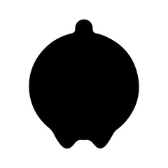 Fototapeta premium Lemon fruit with transparent background