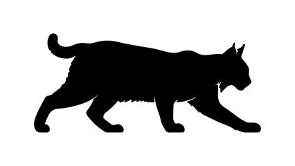 Lynx walking silhouette with transparent background