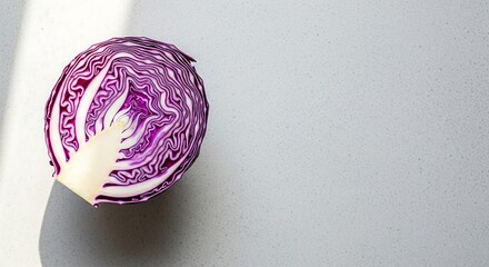 Halved red cabbage with vibrant purple layers, gray concrete surface background, flat lay food photography for editorial layout and healthy branding