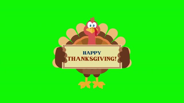 Cute Turkey Bird Cartoon Character Holding A Sign With Text Happy Thanksgiving - 4K Animation Video Motion Graphics With Green Screen Background