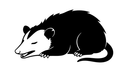 Opossum wildlife animal with transparent background