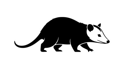 Opossum wildlife animal with transparent background