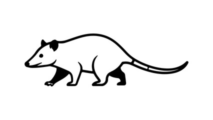 Opossum wildlife animal with transparent background