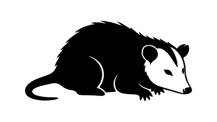 Opossum wildlife animal with transparent background