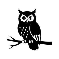 Owl perched on branch with transparent background