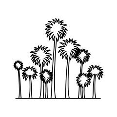Obraz premium Palm trees outline with transparent background