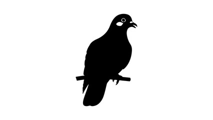 Pigeon perched on branch with transparent background