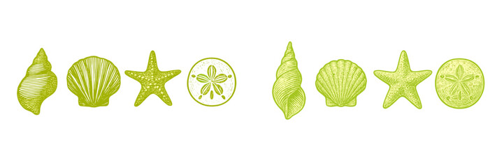 Vibrant green engraved seashells starfish and sand dollar collection on a clean white background, ideal for marine-themed designs © icon_art