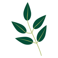 Close-up view of lush green leaves with intricate textures against a soft background