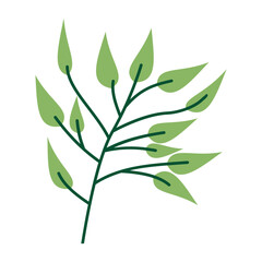 Vibrant green foliage illustration showcasing various leaf shapes and sizes on a white background