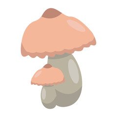 Soft pink mushroom with a smooth cap growing in a serene forest setting, surrounded by greenery