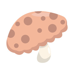 A close-up of a delicious cookie with chocolate chips, set against a clean background