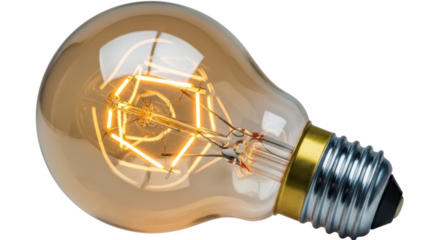 Isolated Edison Light Bulb