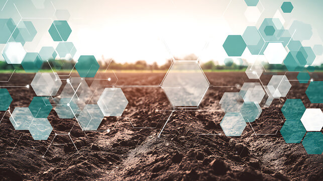 Agricultural field with digital hexagonal overlay representing technology integration in farming