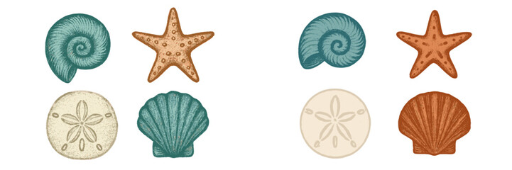 Assortment of various seashells, starfish, and sand dollar elements for nautical and beach themed designs