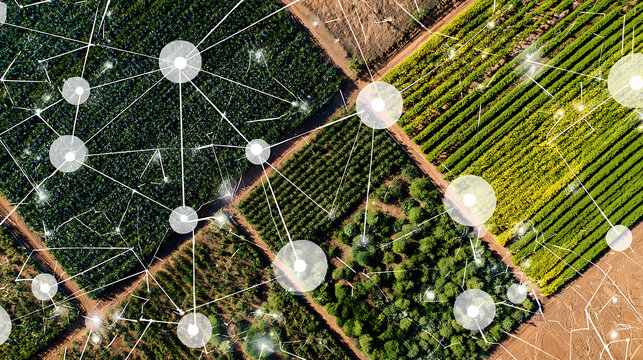 Aerial view of agricultural fields with digital network overlay representing smart farming technology