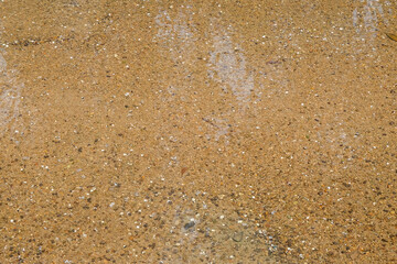 Background texture of gravel at the bottom of a clear and shallow river. Mountain river during the...