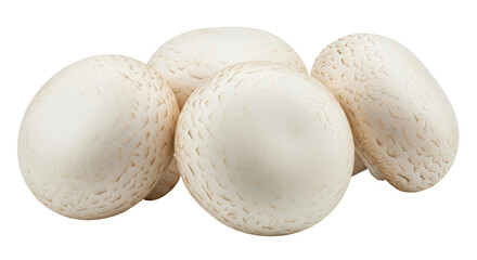Isolated field mushrooms are a healthy and fresh food source with vitamins and minerals