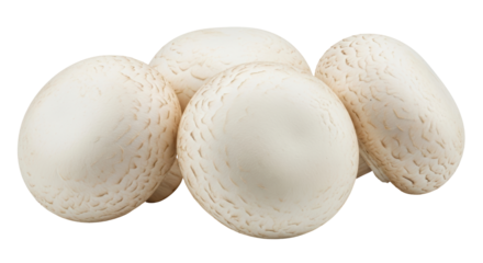 Isolated field mushrooms are a healthy and fresh food source with vitamins and minerals