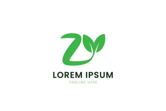 Modern minimalist green zy logo with leaf accents and lorem ipsum text