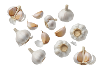Fresh Garlic Collection: Whole Bulbs, Halved, and Individual Cloves Dynamically Scattered and Isolated on White Background for Culinary and Healthy Food Concepts