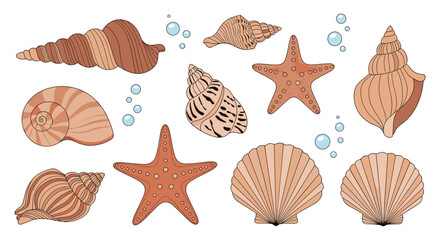 Collection of Seashells and Starfish with Bubbles.