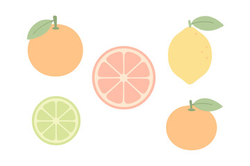 Colorful assortment of fresh citrus fruits including whole oranges, bright yellow lemon, pink grapefruit slice, and vibrant green lime slice