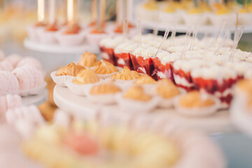 Delightful assortment of desserts displayed at a festive event featuring colorful treats and tempting bites during a sunny afternoon gathering
