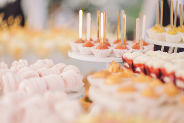 Delicious array of colorful desserts displayed elegantly at a festive outdoor event during warm summer afternoon