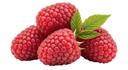 Isolated pile of fresh ripe red raspberries fruit with green leaves on transparent surface