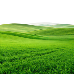 Naklejka premium Green grassland landscape png grassland png landscape png green png meadow png plain png field png nature png transparent background