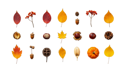 A symphony of Autumn s farewell vibrant leaves and earthy treasures whispering stories of on transparent background