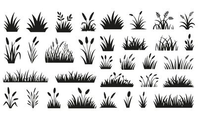 Grass Silhouette Collection – Nature Plant Icons and Decorative Lawn Elements