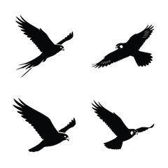 Falcon silhouette vector icon black color and white background