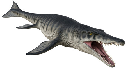 Fototapeta premium Isolated Marine Reptile Animal