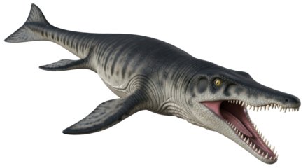 Isolated Marine Reptile Animal