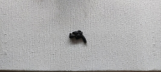 Archaeology Ancient Animal Figurine Unearthed During Historical Excavations At Taxila Pakistan Heritage Site