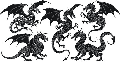 dragon, silhouette, wings, mythical, creature, fantasy, beast, ornate, claws, tail, fierce, vector, black, white, legend, monster, design, art, symbol, illustration