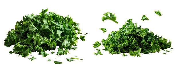  Set of Top-Down View of Chopped Kale Pieces, Scattered Composition, Isolated