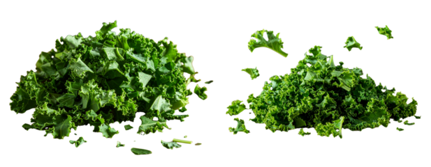  Set of Top-Down View of Chopped Kale Pieces, Scattered Composition, Isolated
