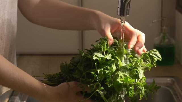 Close-up of water running over green leaves, emphasizing clarity, freshness, and clean lifestyle. Video reflects cooking preparation, healthy diet, and mindful kitchen routines. Fresh herbs sparkle
