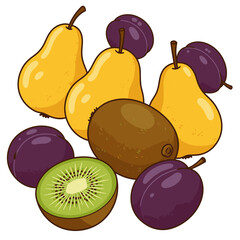 Assortment of fresh fruits: yellow pears, purple plums, and kiwis. Healthy food vector illustration on white background.