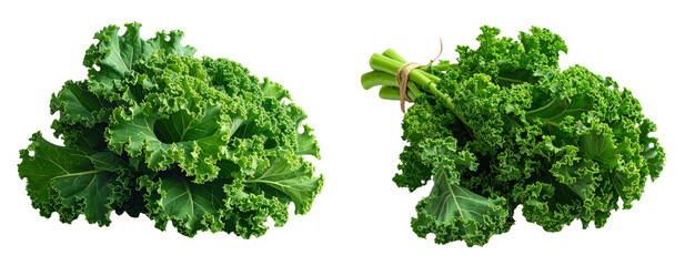  Set of Bunch of Kale Leaves, Side Angle, Isolated