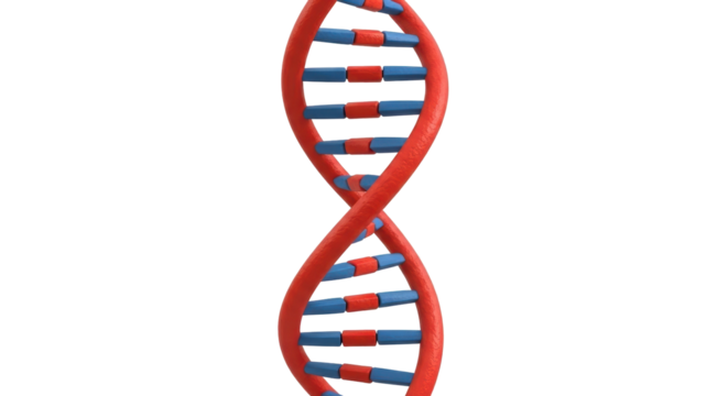 Isolated DNA Strand